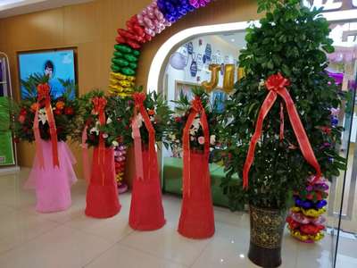 齊齊哈爾市金色雨林開業(yè)慶典圓滿成功，專業(yè)服務(wù)鑄就輝煌時刻